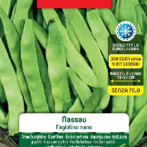 Blumen legumi maxi busta Fagiolini nani verdi Nassau <br/> Semi da Orto