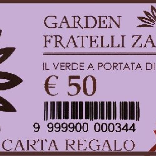 Carta regalo € 50 <br/> Gift Card Online