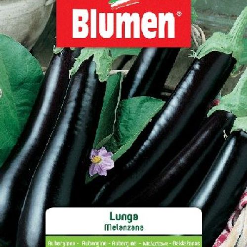 BLUMEN BUSTA SEMI MELANZANA LUNGA <br/> Semi da Orto