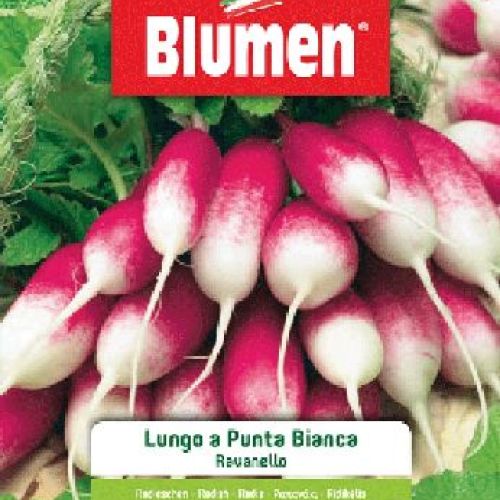 BLUMEN BUSTA SEMI RAVANELLO LUNGO PUNTA BIANCA <br/> Semi da Orto