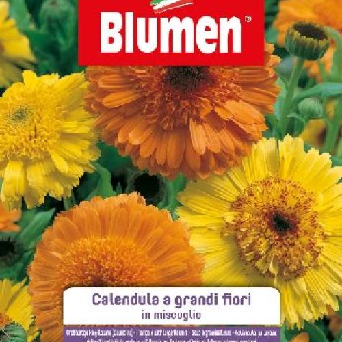 BLUMEN GIARDINO FIORI CALENDULA GRANDI FIORI MIX <br/> Semi da Fiore