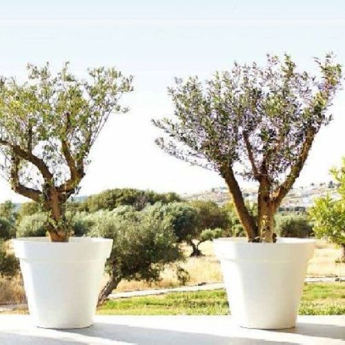 Vaso Capri Cm 50 verde <br/> Vasi e Accessori in Plastica