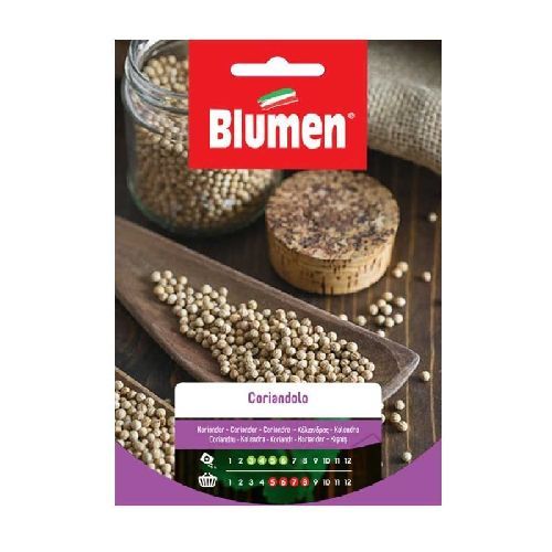 Blumen busta semi Coriandolo <br/> Semi da Orto
