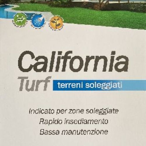 TAPPETO CALIFORNIA 500 GR PRATO SOLEGGIATO <br/> Semi per Prato