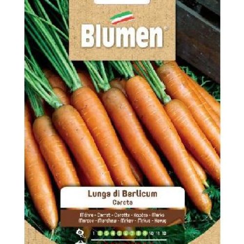 Blumen semi BIO Carota lunga di Berlicum <br/> Semi da Orto