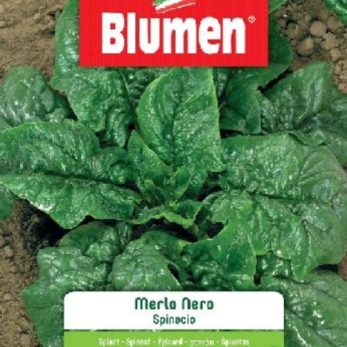 BLUMEN BUSTA SEMI SPINACIO MERLO NERO <br/> Semi da Orto