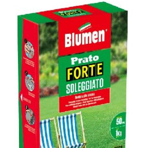BLUMEN PRATO FORTE SOLEGGIATO 1 KG <br/> Semi per Prato