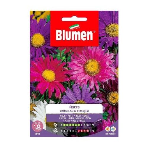 Blumen giardino fiori Astro Cina mix <br/> Semi da Fiore