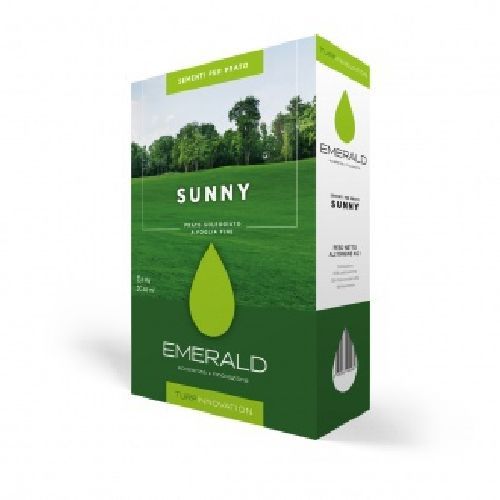 SUNNY KG 1 SEME PRATO <br/> Semi per Prato