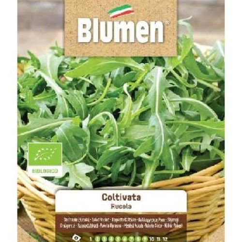 BLUMEN SEMI BIO RUCOLA <br/> Semi da Orto