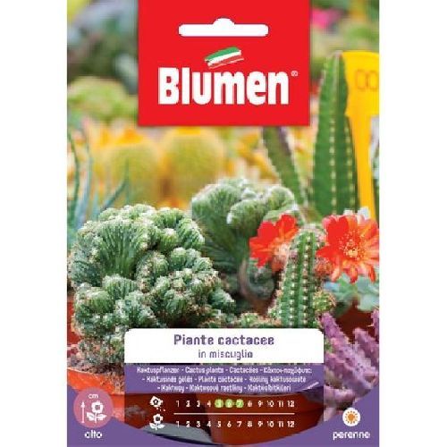 BLUMEN GIARDINO FIORI PIANTE CACTACEE IN MIX <br/> Semi da Fiore