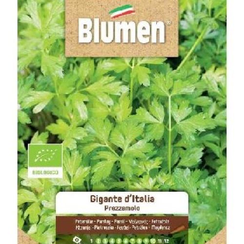 Blumen semi BIO Prezzemolo gigante <br/> Semi da Orto