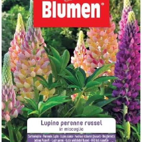 BLUMEN GIARDINO FIORI LUPINO RUSSEL MIX <br/> Semi da Fiore