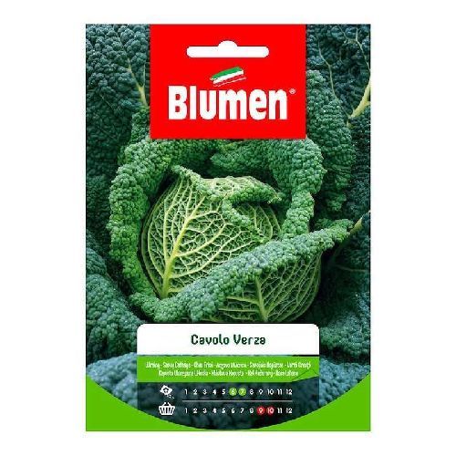BLUMEN BUSTA SEMI CAVOLO VERZA <br/> Semi da Orto