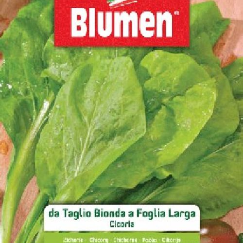 BLUMEN BUSTA SEMI CICORIA DA TAGLIO BIONDA A FOGLIA LARGA <br/> Semi da Orto