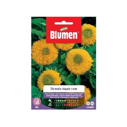 Blumen giardino fiori Girasole doppio nano <br/> Semi da Fiore