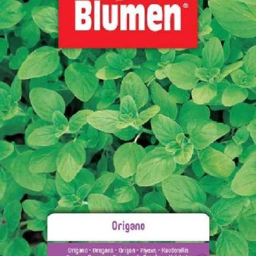 Blumen busta semi Origano <br/> Semi da Orto