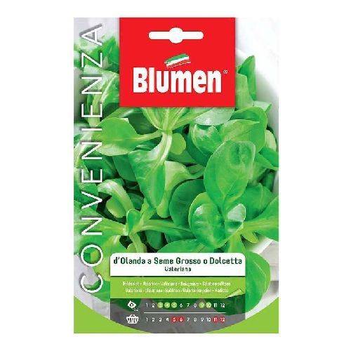 BLUMEN MAXI ORTO VALERIANA D'OLANDA SEME GRANDE <br/> Semi da Orto