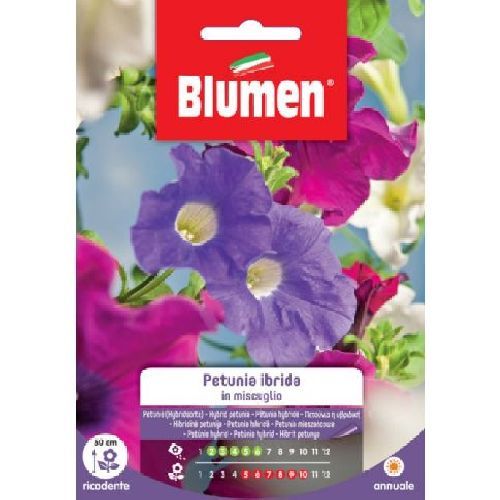 Blumen giardino fiori Petunia hybrida mix <br/> Semi da Fiore
