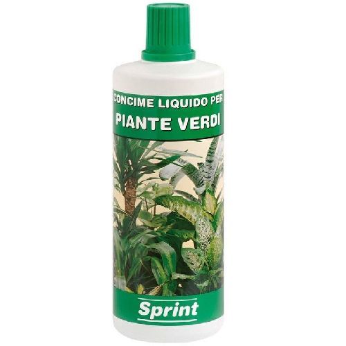 FLORTIS SPRINT PIANTE VERDI 1000 G <br/> Concime per Piante da Interno
