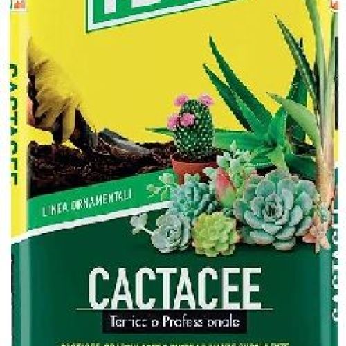 VIGORPLANT TERRICCIO PER CACTACEE 20LT <br/> Terra e Torba