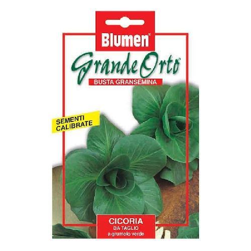 BLUMEN MAXI ORTO CICORIA DA TAGLIO GRUMOLO VERDE <br/> Semi da Orto