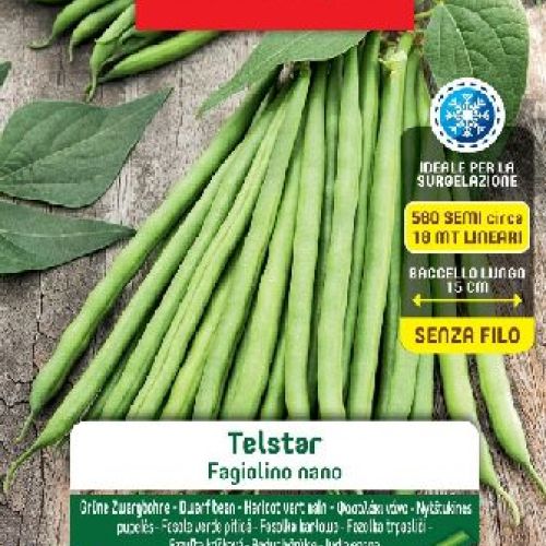 BLUMEN LEGUMI MAXI BUSTA FAGIOLINI NANI TELSTAR <br/> Semi da Orto