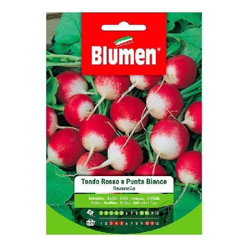 BLUMEN BUSTA SEMI RAVANELLO TONDO ROSSO PUNTA BIANCA <br/> Semi da Orto
