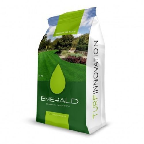 AGGRESSIVE 9010 KG 5 SEME PRATO <br/> Semi per Prato