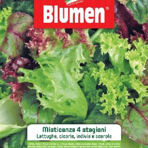BLUMEN BUSTA SEMI MISTICANZA 4 STAGIONI (LATTUGA, CICORIA) <br/> Semi da Orto